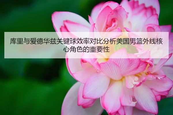 库里与爱德华兹关键球效率对比分析美国男篮外线核心角色的重要性