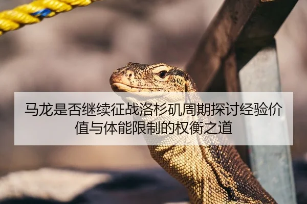 马龙是否继续征战洛杉矶周期探讨经验价值与体能限制的权衡之道