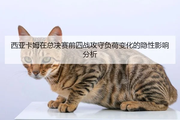 xi-ya-ka-mu-zai-zong-jue-sai-qian-si-zhan-gong-shou-fu-he-bian-hua-de-yin-xing-ying-xiang-fen-xi-2-622.jpg