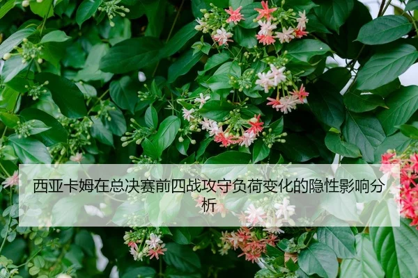 西亚卡姆在总决赛前四战攻守负荷变化的隐性影响分析