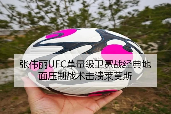 张伟丽UFC草量级卫冕战经典地面压制战术击溃莱莫斯