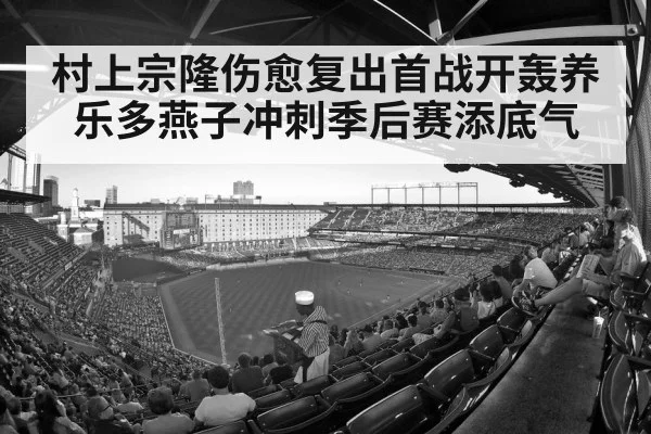 baseball stadium crowd
